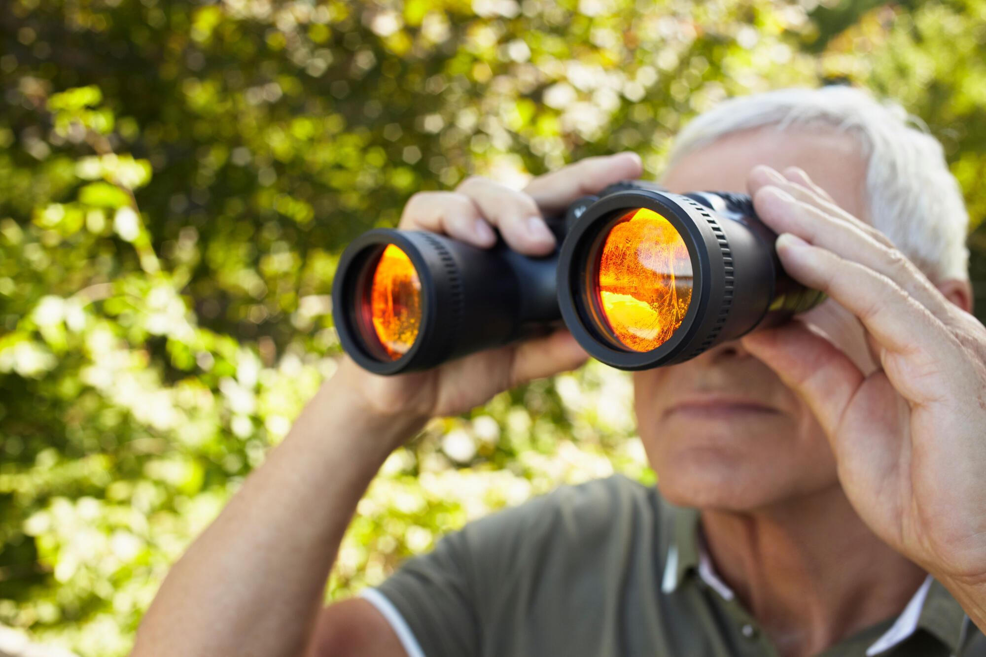 Birdwatching for Beginners: A Calm Hobby for Seniors